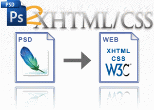 Important Aspects to Look Into a Professional PSD to HTML Developer’s Services