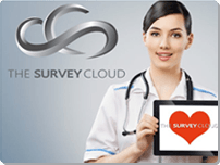 The Survey Cloud